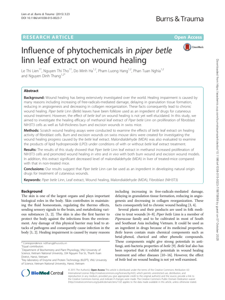 Piper Betle Leaf Extract for Wound Healing | PDF | Healing | Wound Healing