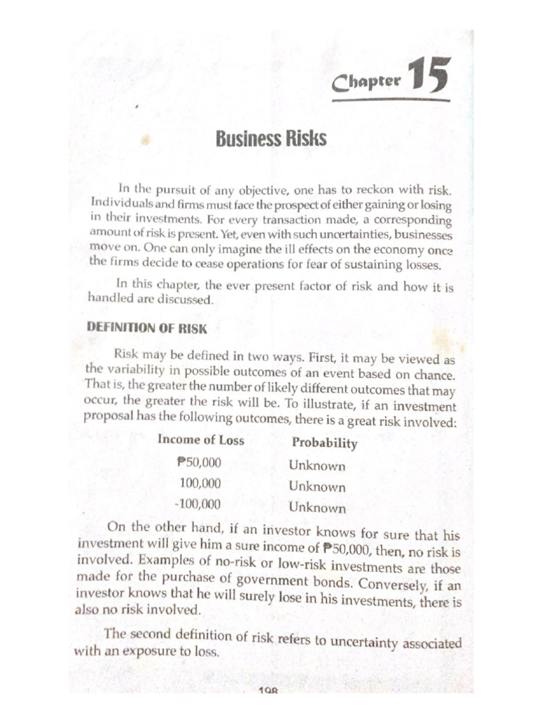 Business Risks | PDF