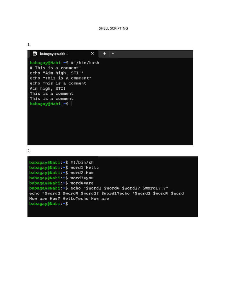Babagay Realyn (Shell Scripting) | PDF