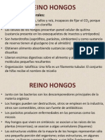 REINO HONGOS