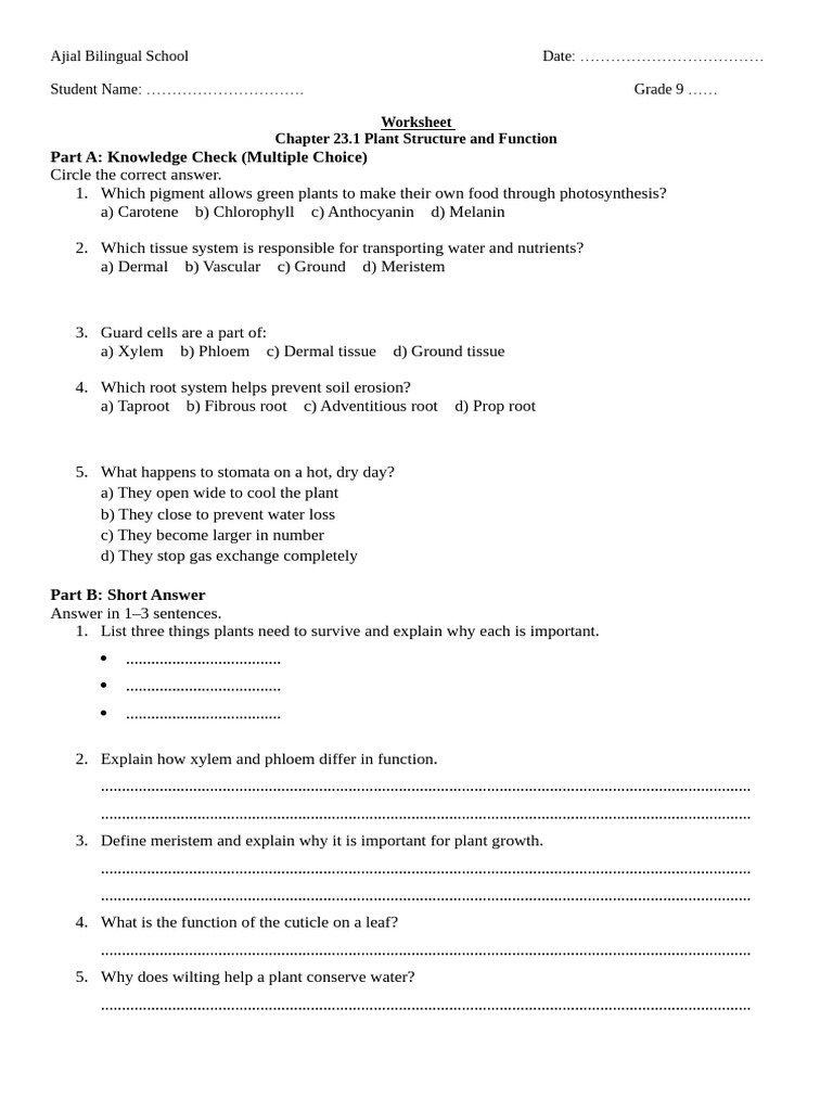 Plant Structure and Function Worksheet | PDF | Root | Leaf