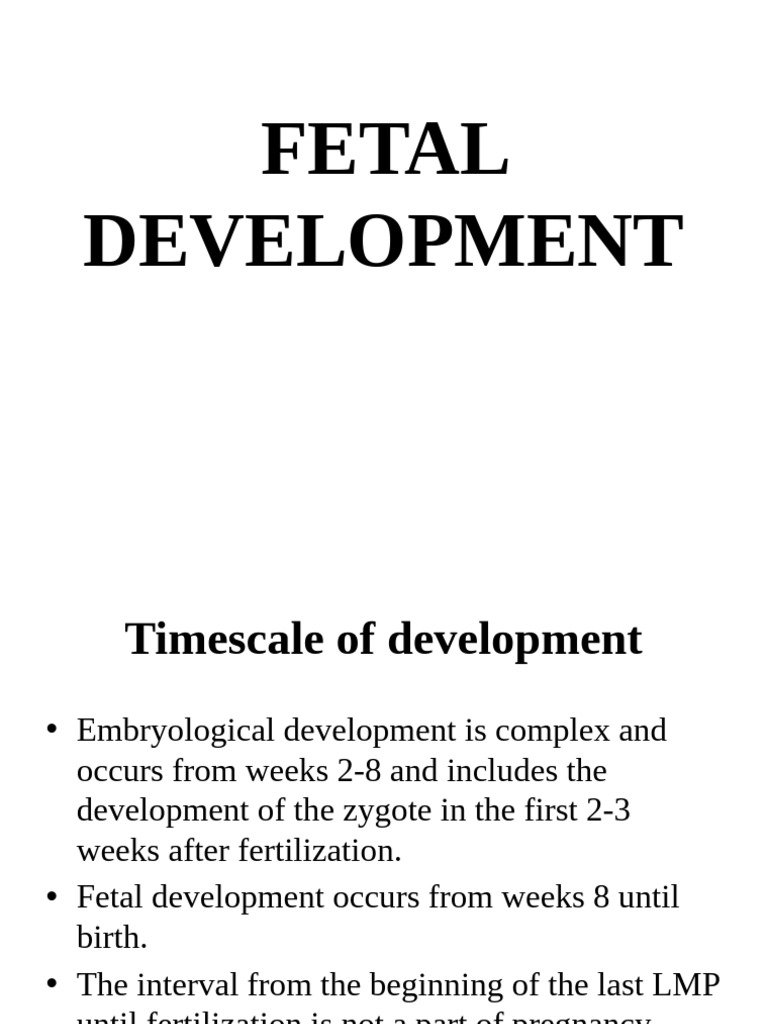 Fetal Development Timeline and Milestones | PDF
