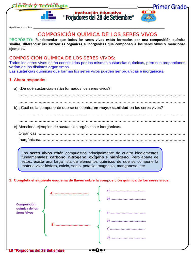Composición Química de los Seres Vivos | PDF | Carbohidratos ...