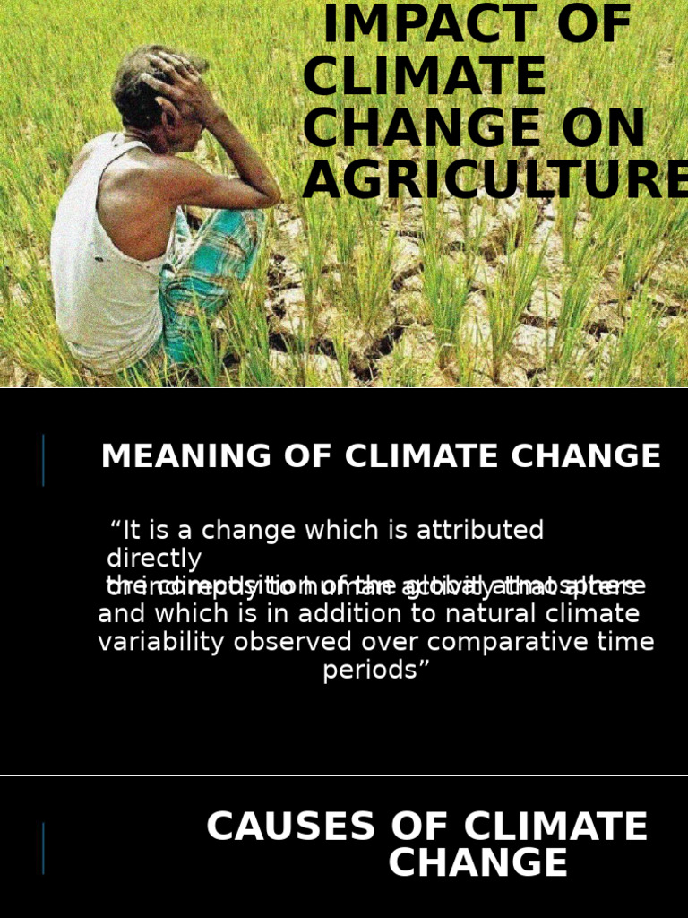 Climate Change Effects on Agriculture | PDF | Drought | Climate Change