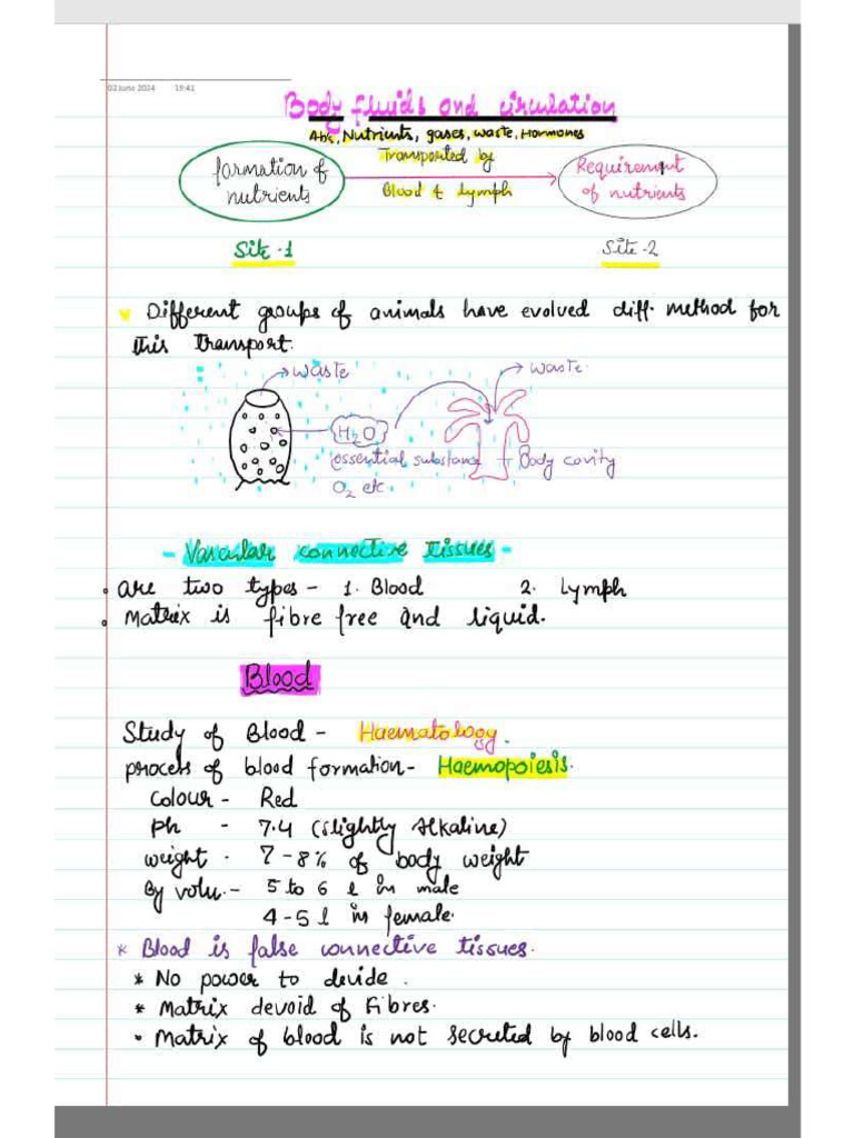 4.body Fluid and Circulation 1 | PDF