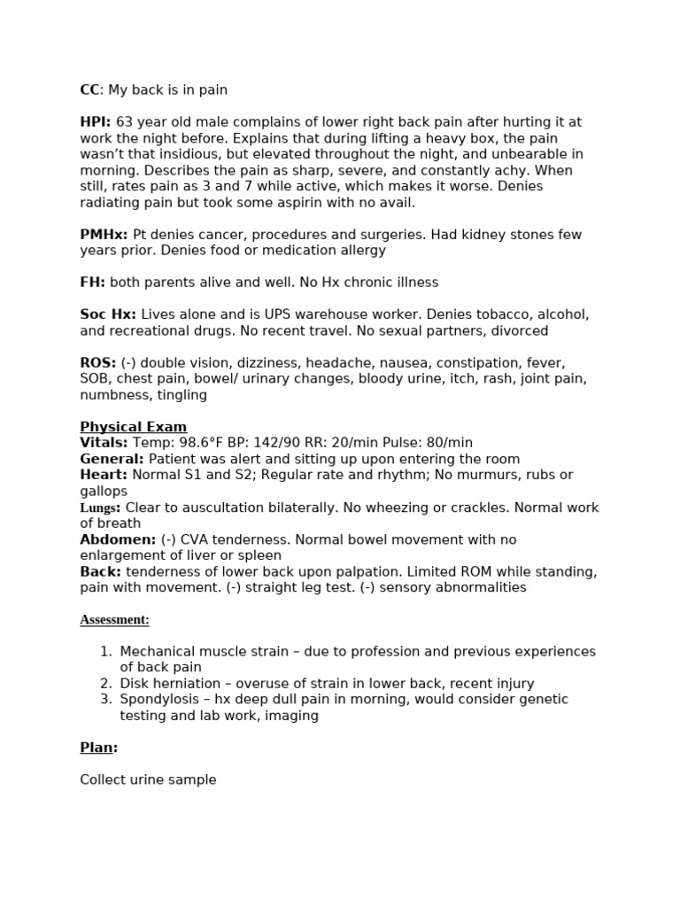 Lower Back Pain Assessment and Plan | PDF