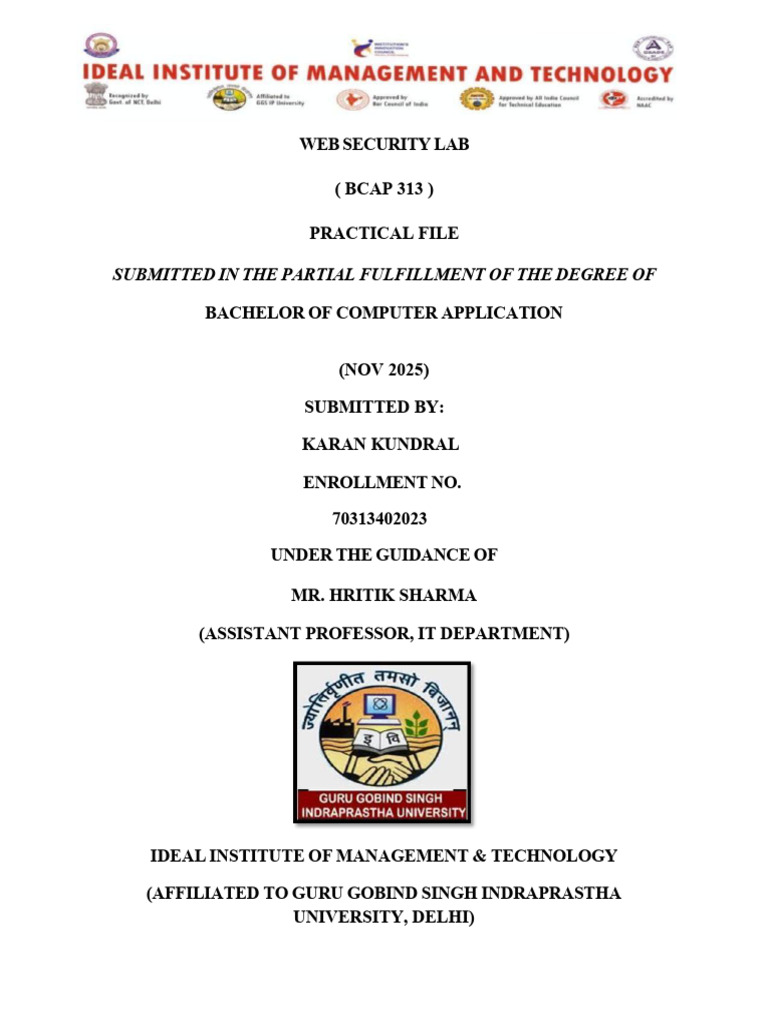 Web Security Lab Practical File | PDF