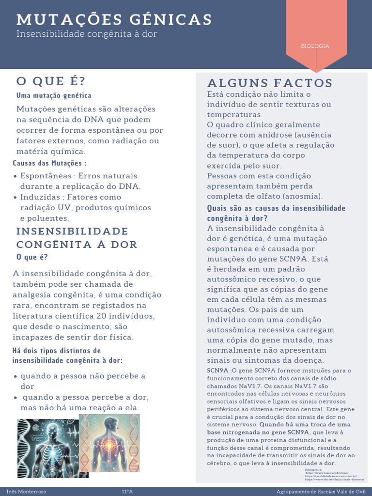 Mutação Genetica 11ºA Inesmonterroso | PDF | Mutação | Dor