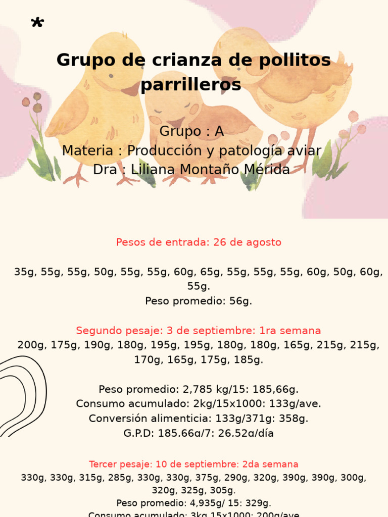 Análisis de Crecimiento en Pollitos Cobb | PDF | Aves | Productos animales