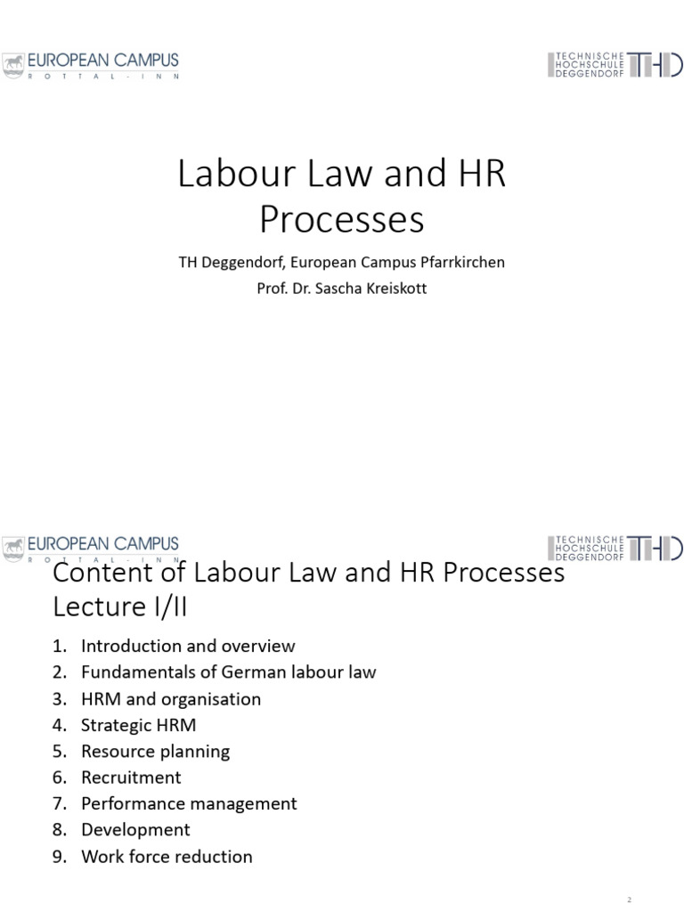 Labour Law and HR Processes Lecture | PDF | Employment | Collective ...