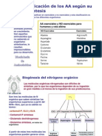 T32 Sintesis