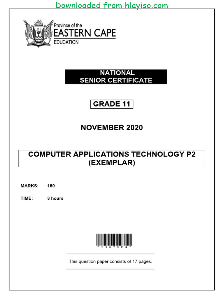 Grade 11 Computer Applications Exam 2020 | PDF | Internet | Software
