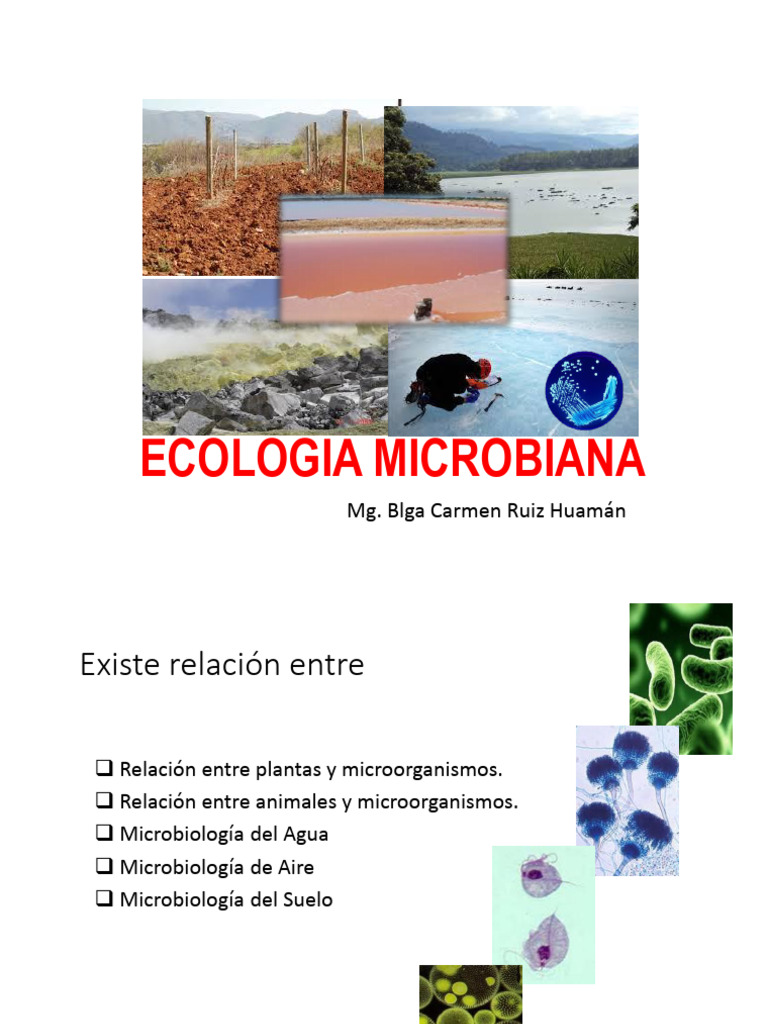 Interacciones en Ecología Microbiana | PDF | Biopelícula | Las bacterias