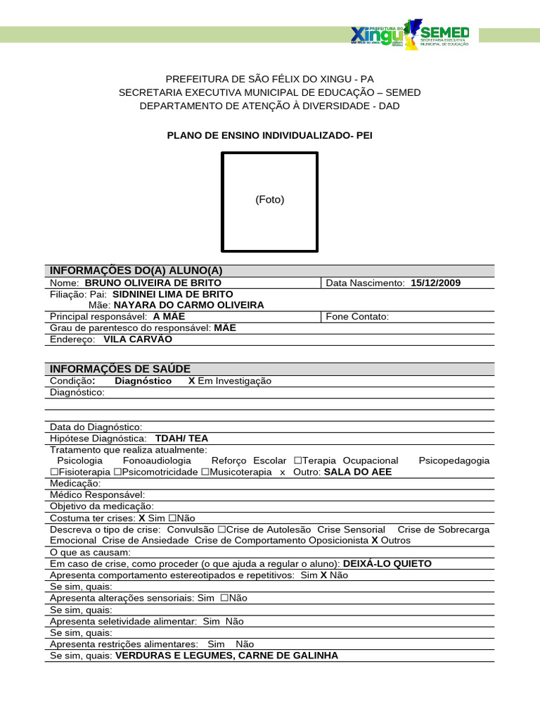Plano de Ensino Individualizado para Bruno | PDF | Pedagogia | Aprendizado
