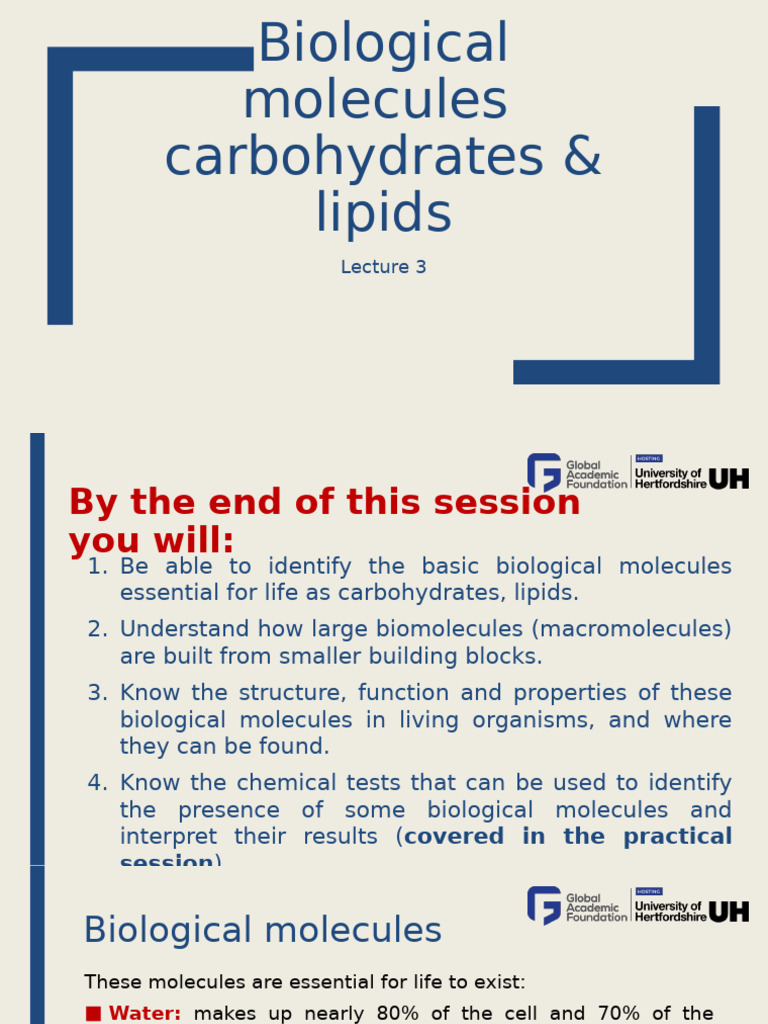 Lecture+3+Biological+Molecules+%28Part+1%29+%281%29 | PDF ...