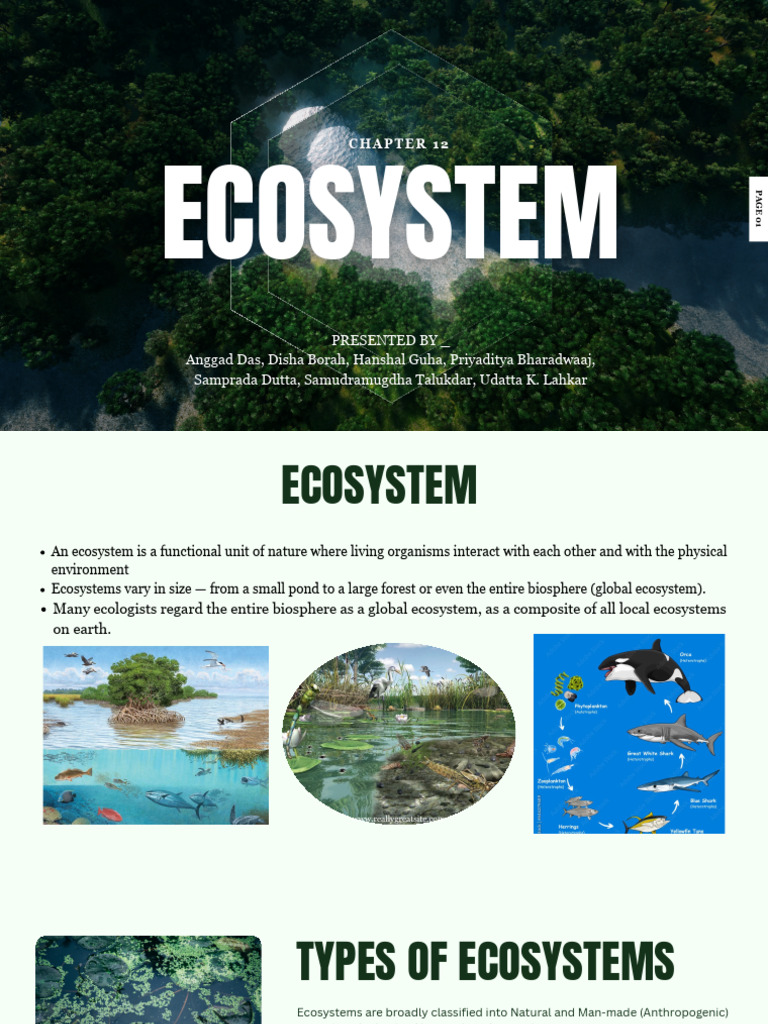 Understanding Ecosystem Dynamics | PDF | Primary Production | Ecosystem