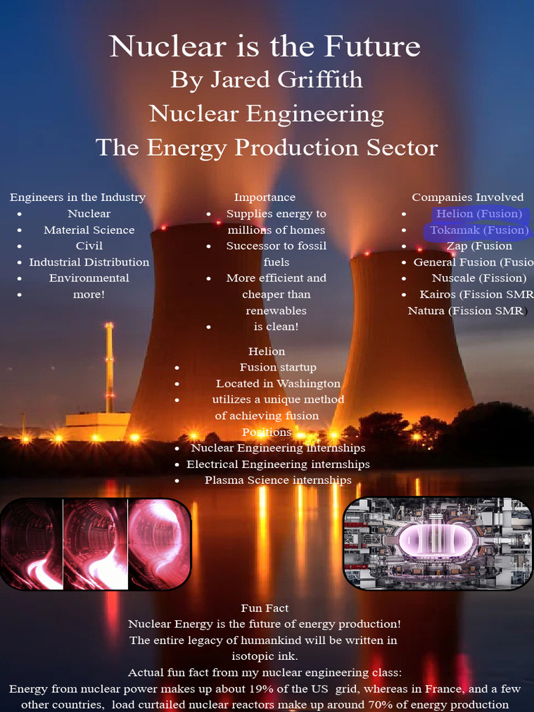 Future of Nuclear Energy Companies | PDF