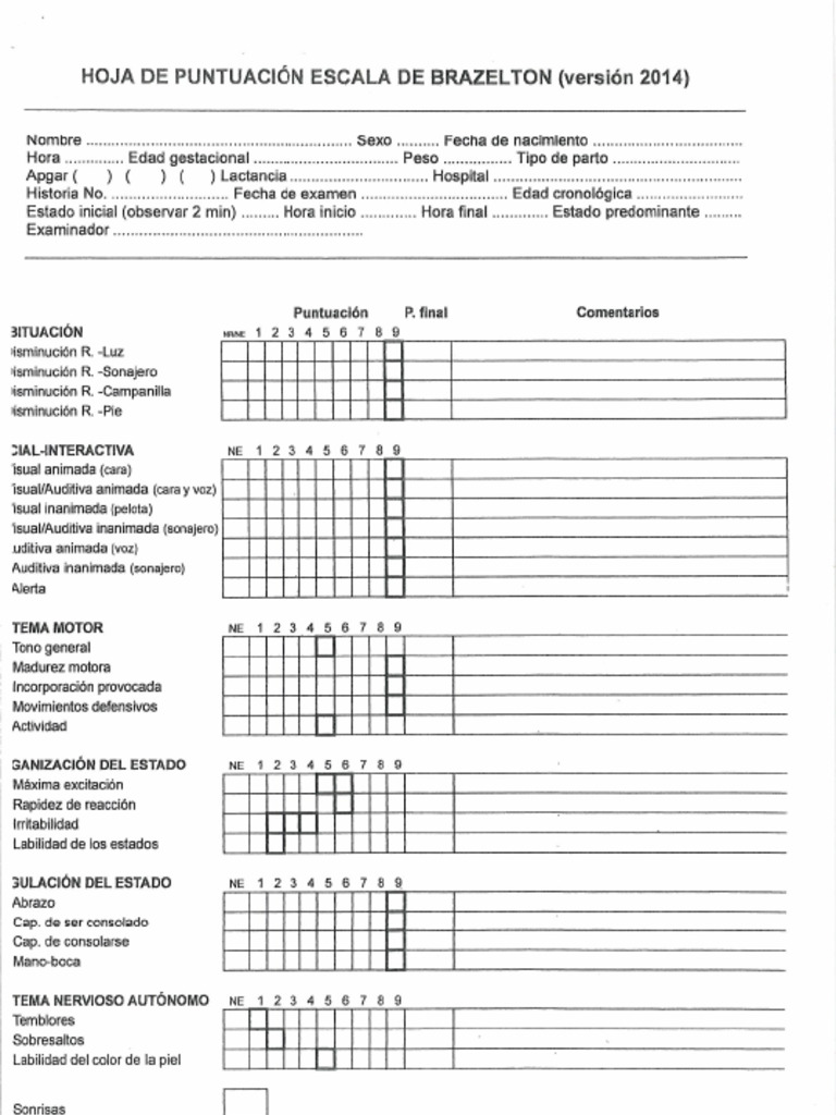 Prueba | PDF