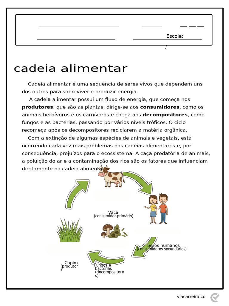 Entendendo a Cadeia Alimentar e Seus Componentes | PDF | Ecologia ...