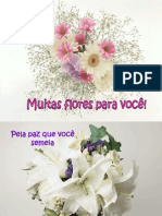 Flores (1)