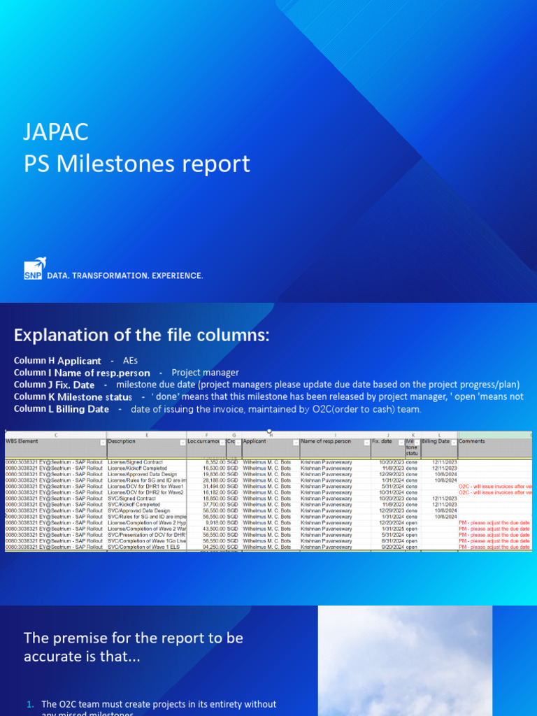 In-Depth Explanation of PS Milestones Report | PDF