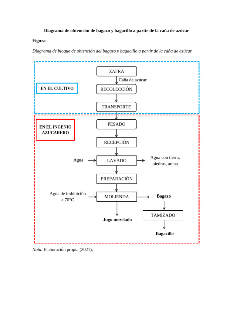 Proceso de obtención de bagazo y bagacillo | PDF | Caña de azúcar | Azúcar