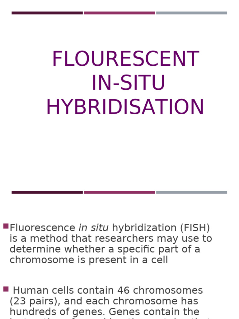 Fish | PDF | Fluorescence In Situ Hybridization | Genetics
