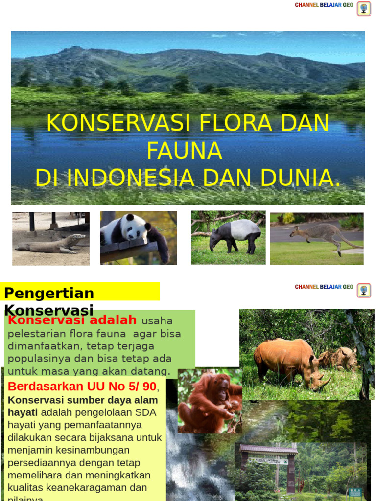 Tempat Konservasi Flora Fauna Indonesia | PDF