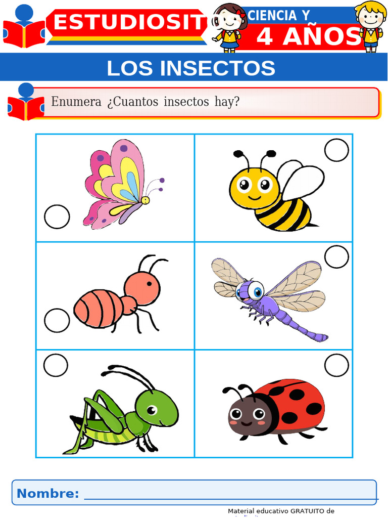 Los Insectos para Ninos de Cuatro Anos | PDF