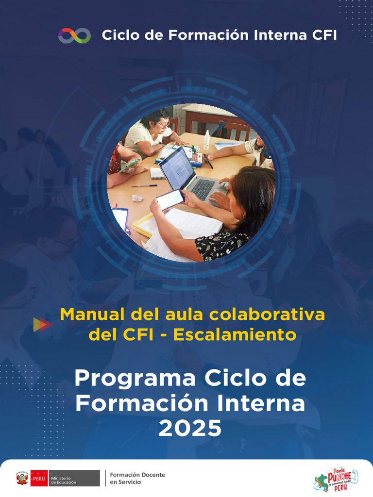 Guía de Acceso al Aula CFI 2025 | PDF