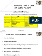 Introduction To The Tools of Lean and Six Sigma ("LSS") : Yellow Belt Training