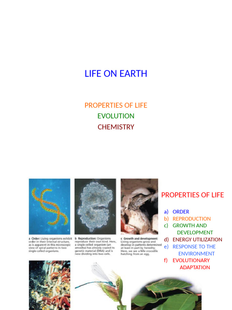 Life On Earth | PDF | Life | Evolution