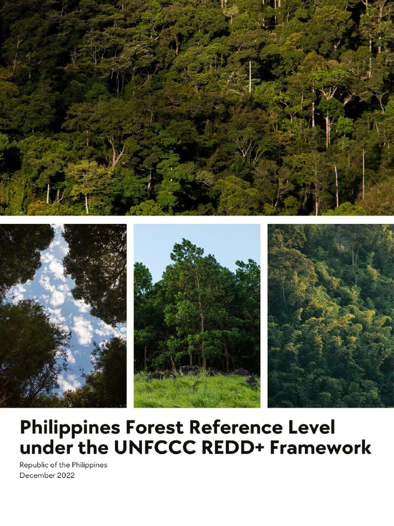 Philippine FRL Document Final 6dec2022 | PDF | Deforestation | Forest ...