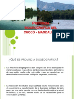 Provincia biogeográfica del chocó - magdalena