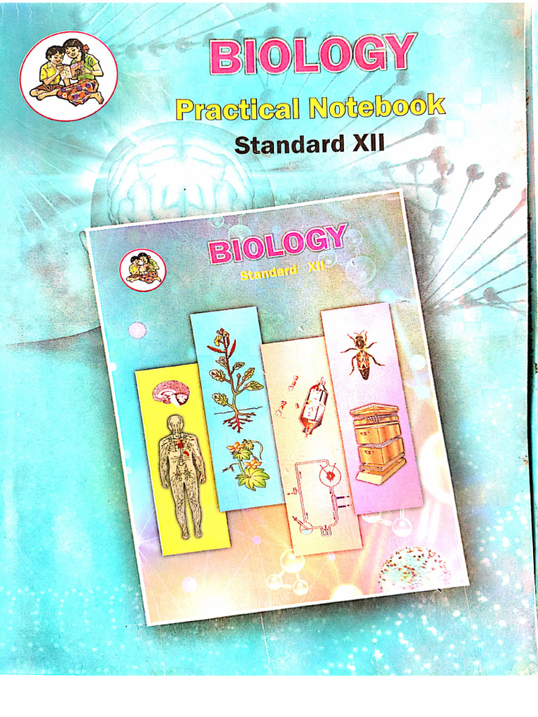 12 Sci Biology | PDF