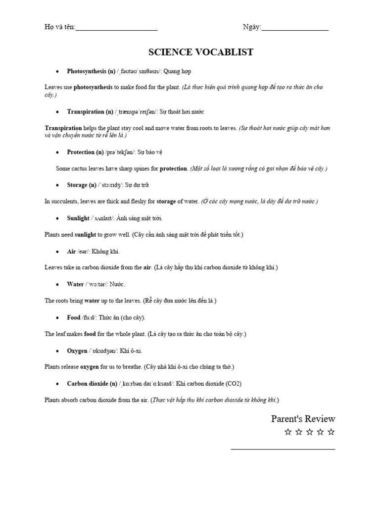 Week 11 | PDF