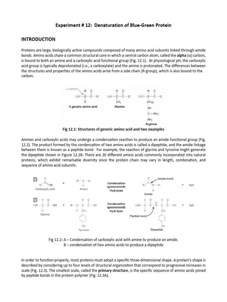 Denaturation of Phycocyanin Protein Experiment | PDF | Amino Acid | Acid