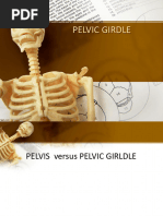 Special Projections for Pelvis and Spine | PDF | Hip | Pelvis