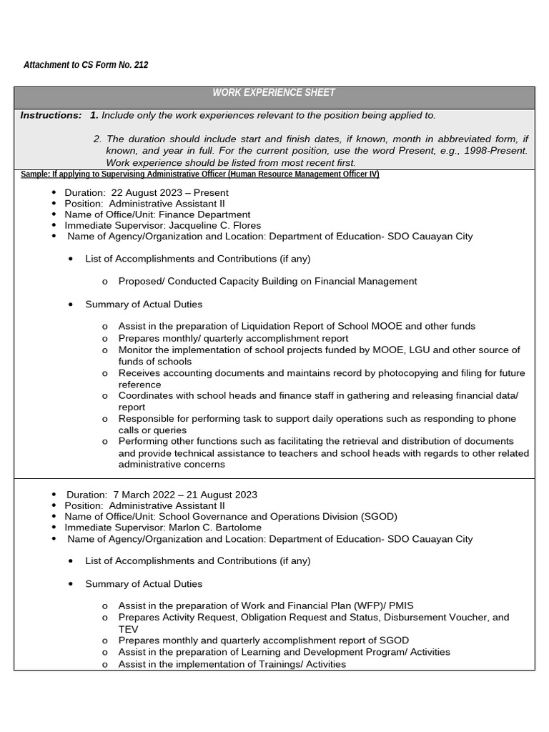 Work Experience Template for Applicants | PDF | Business