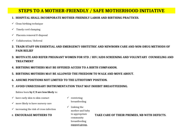 Mother-Friendly Safe Motherhood Steps | PDF