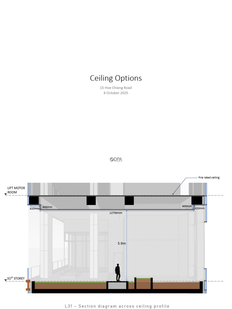 Ceiling Design Options Overview | PDF | Stainless Steel | Chemical ...