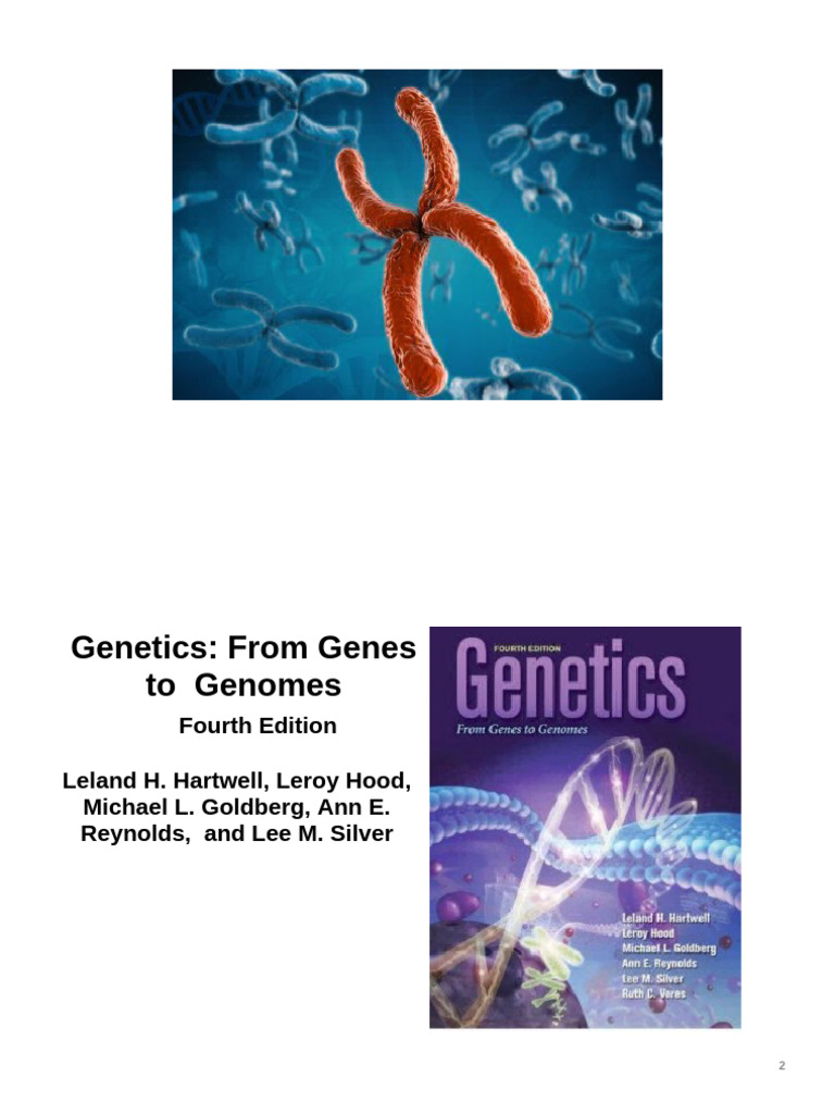 Chromosome Theory and Cell Cycle Overview | PDF | Meiosis | Ploidy