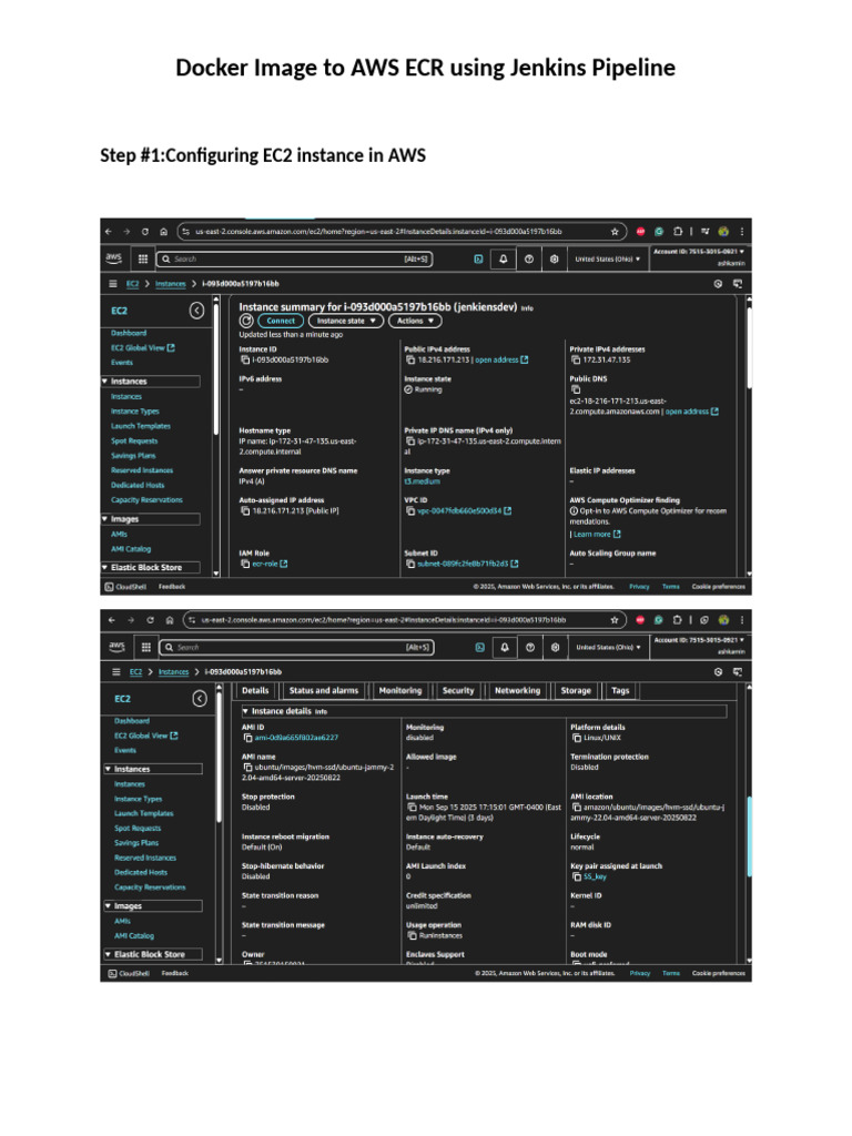 Deploy Docker to AWS ECR with Jenkins | PDF