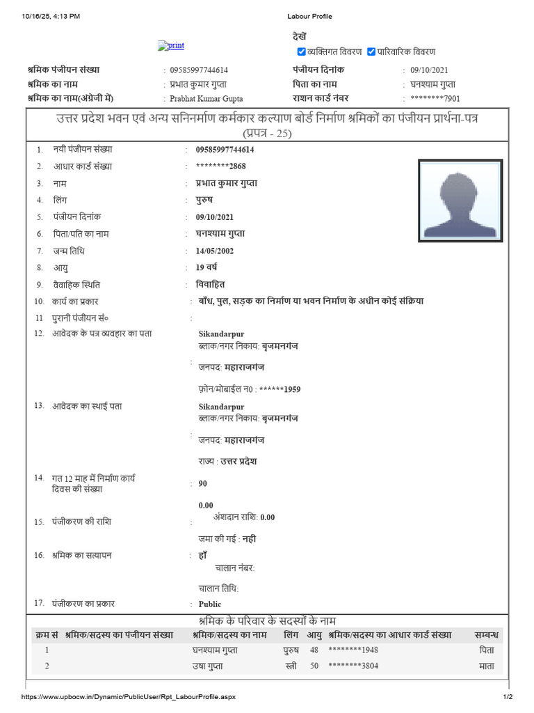 Labour Profile | PDF