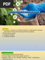 Basal Fertilizer Application Methods | PDF | Fertilizer | Soil