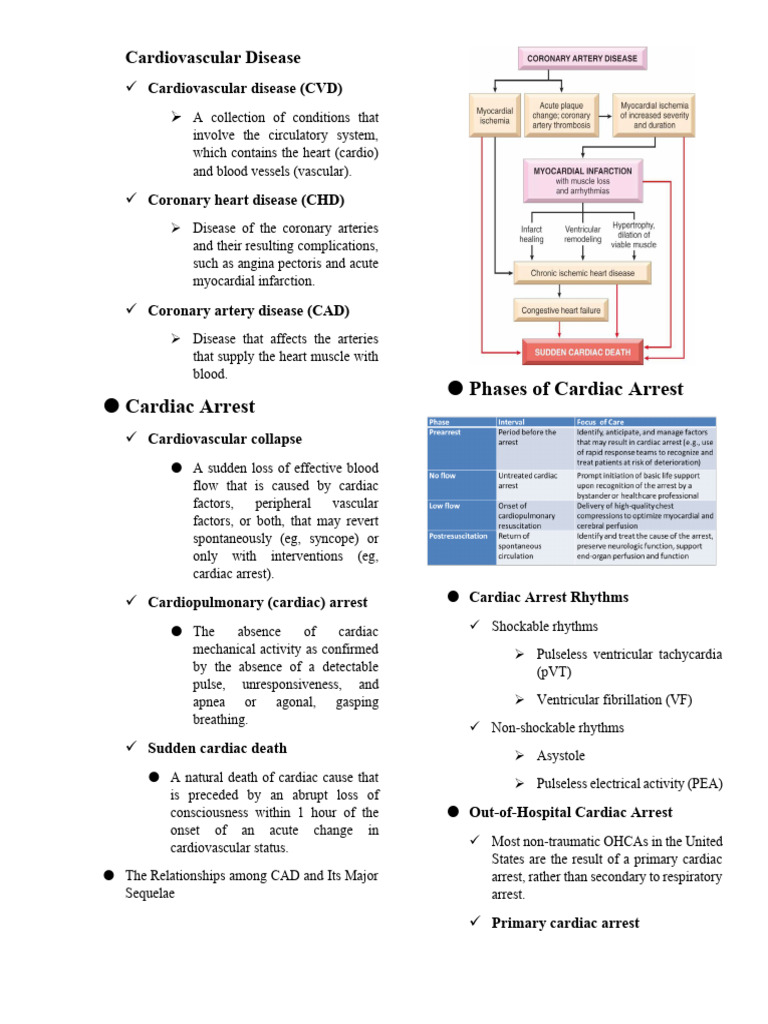 Acls Module | PDF | Cardiopulmonary Resuscitation | Cardiac Arrest