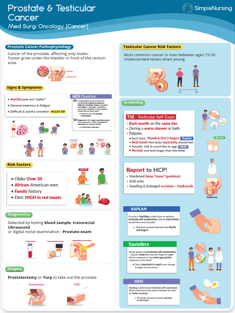 Prostate & Testicular Cancer Overview | PDF | Cancer | Prostate Cancer