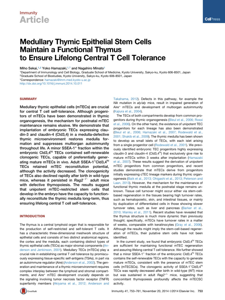 Medullary Thymic Epithelial Stem Cells | PDF | Thymus | Immune Tolerance