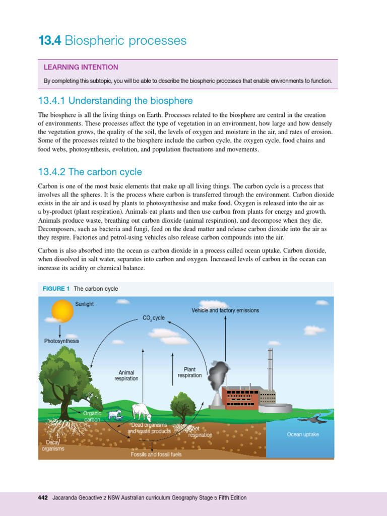 Biospheric Processes Explained | PDF | Carbon Cycle | Photosynthesis
