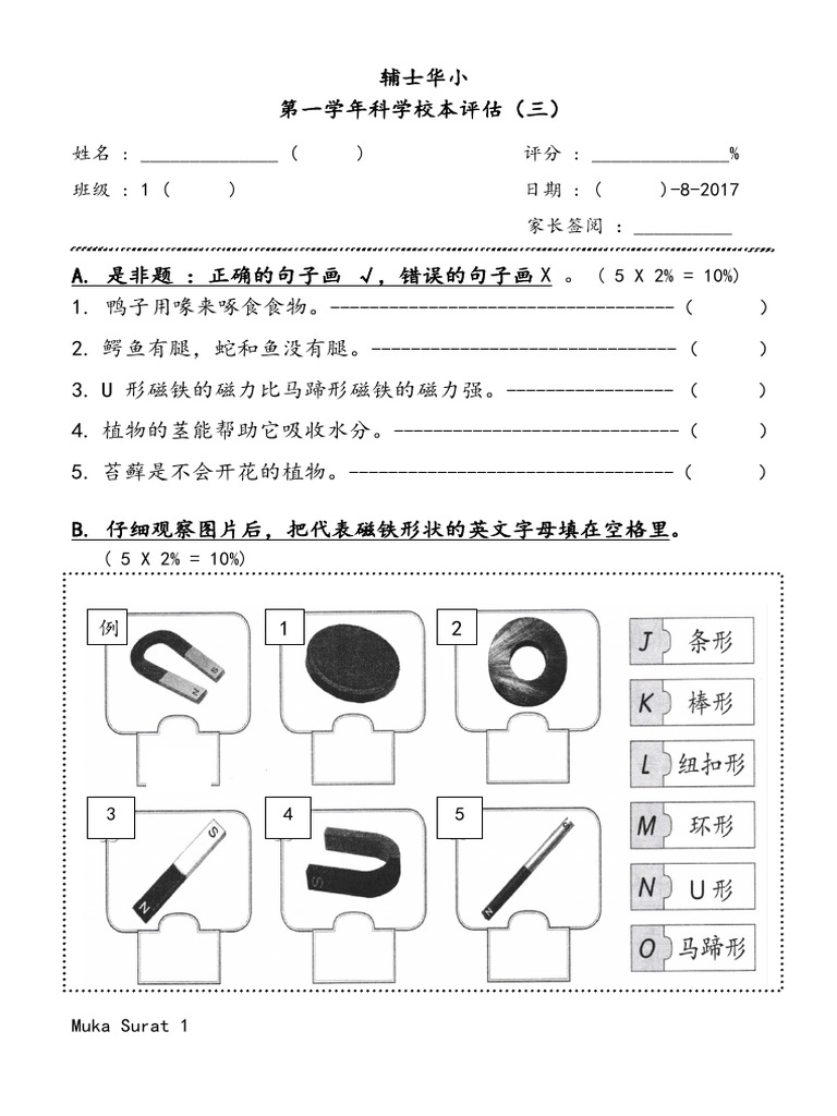 STD1 SC Aug | PDF